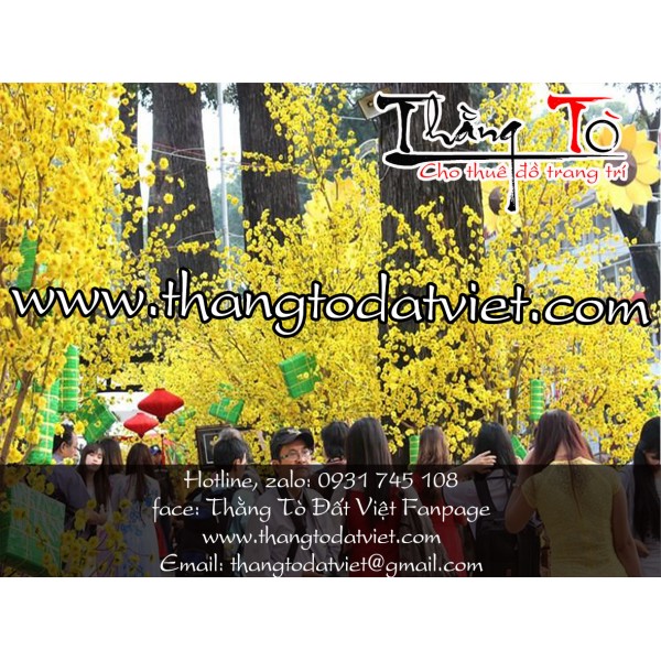 tiểu cảnh tết đẹp23